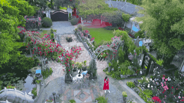 IMG_3985.GIF