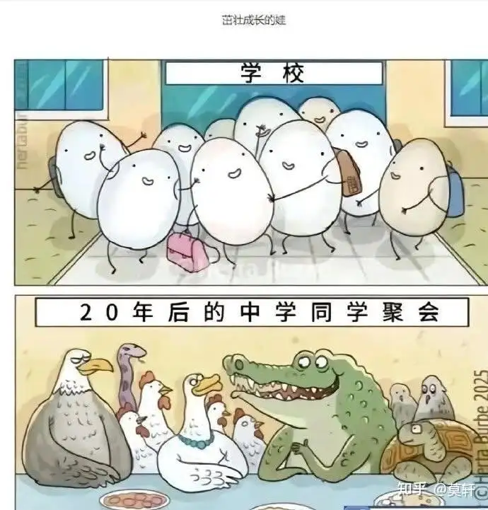 IMG_3817.PNG