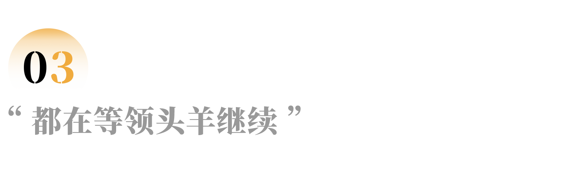 IMG_4881.PNG