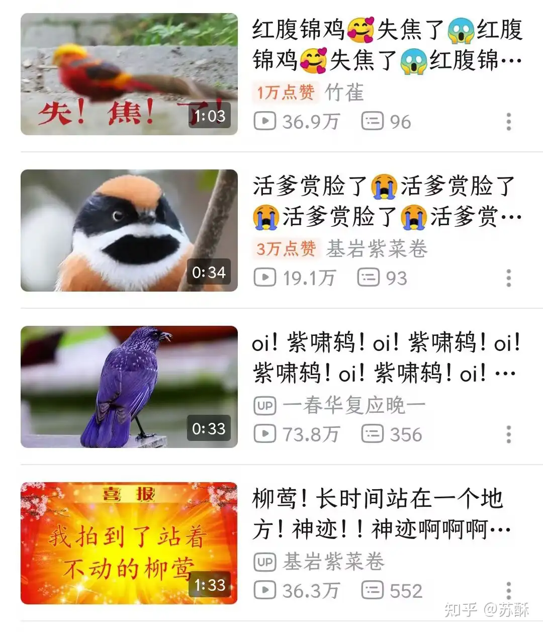 IMG_6059.PNG