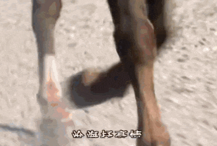 105-ezgif.com-optimize.gif