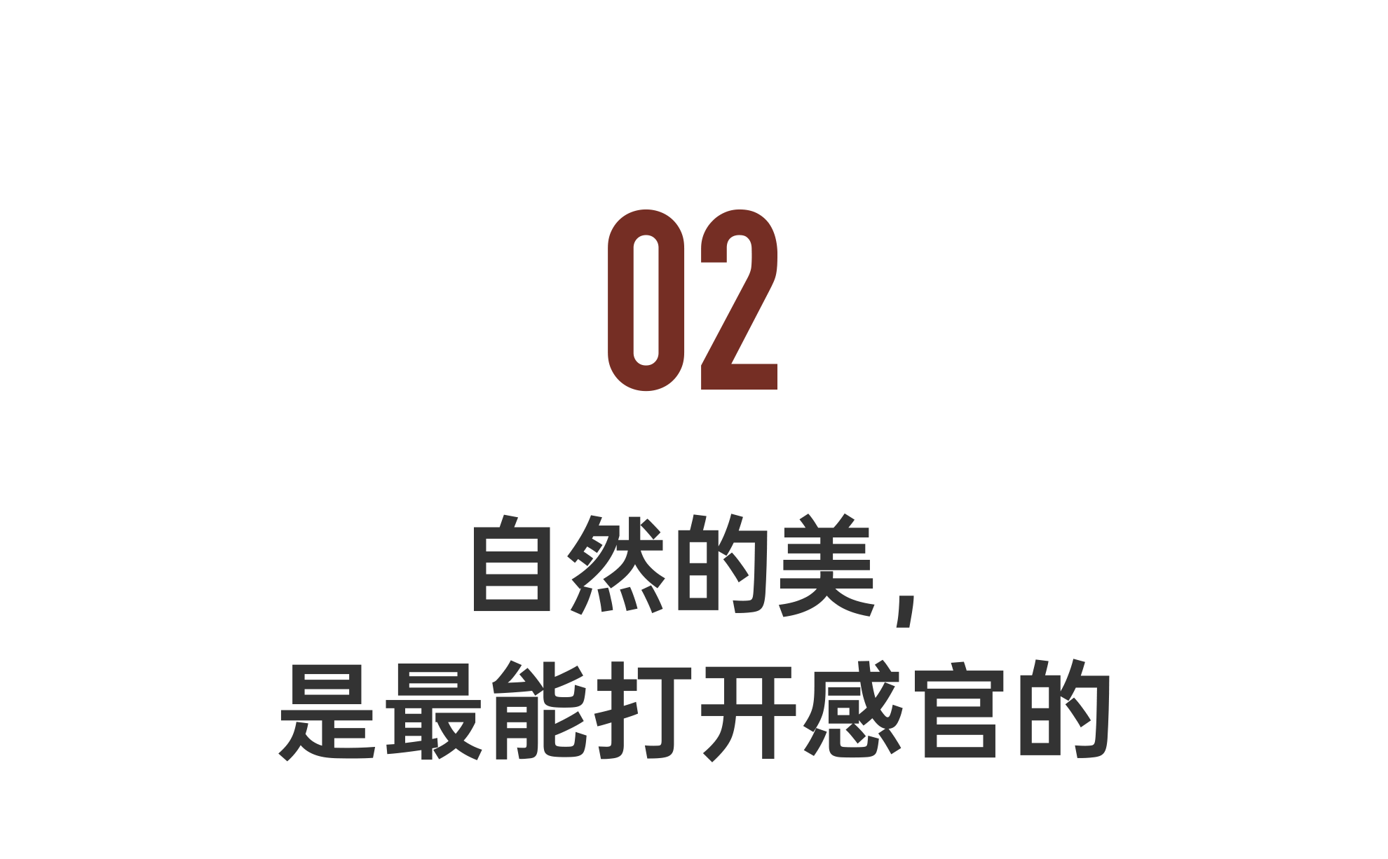 IMG_6600.PNG