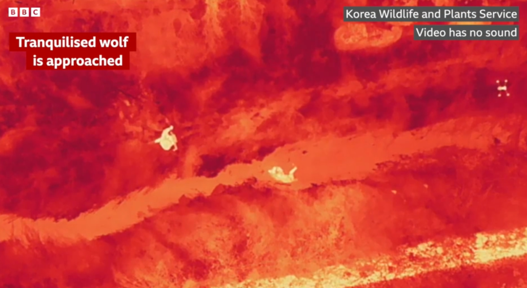 IMG_7614.PNG