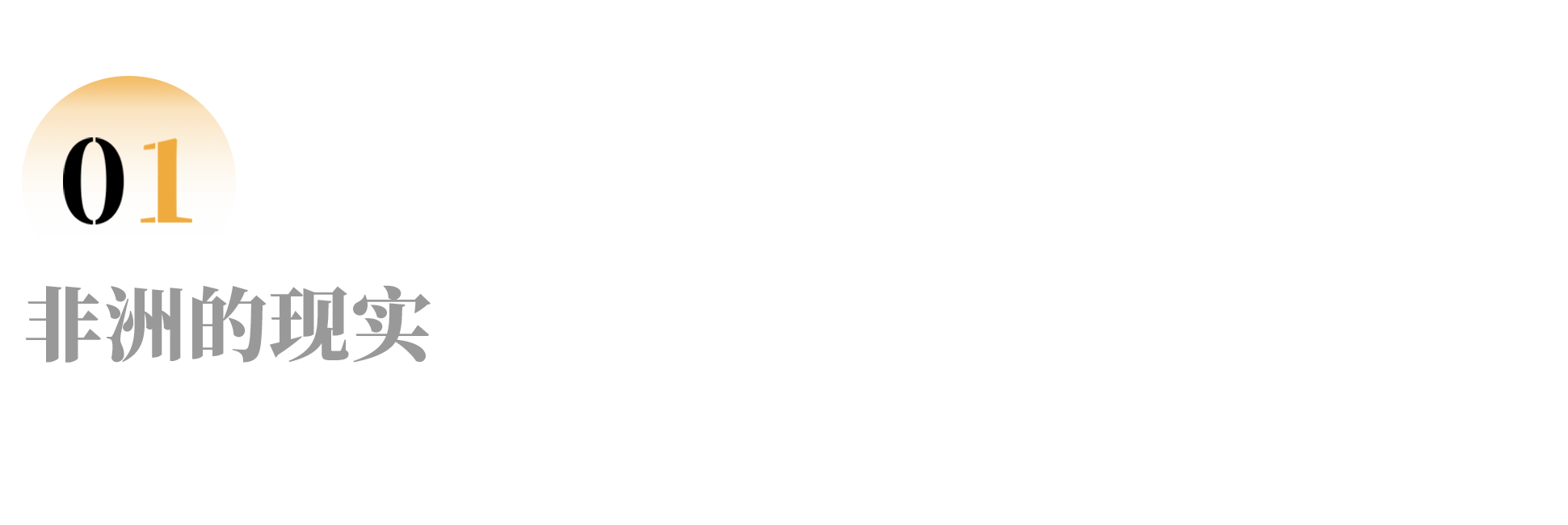 IMG_7940.PNG