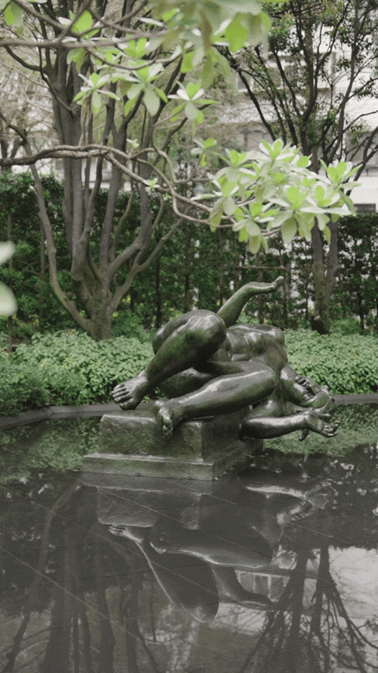IMG_8311.GIF