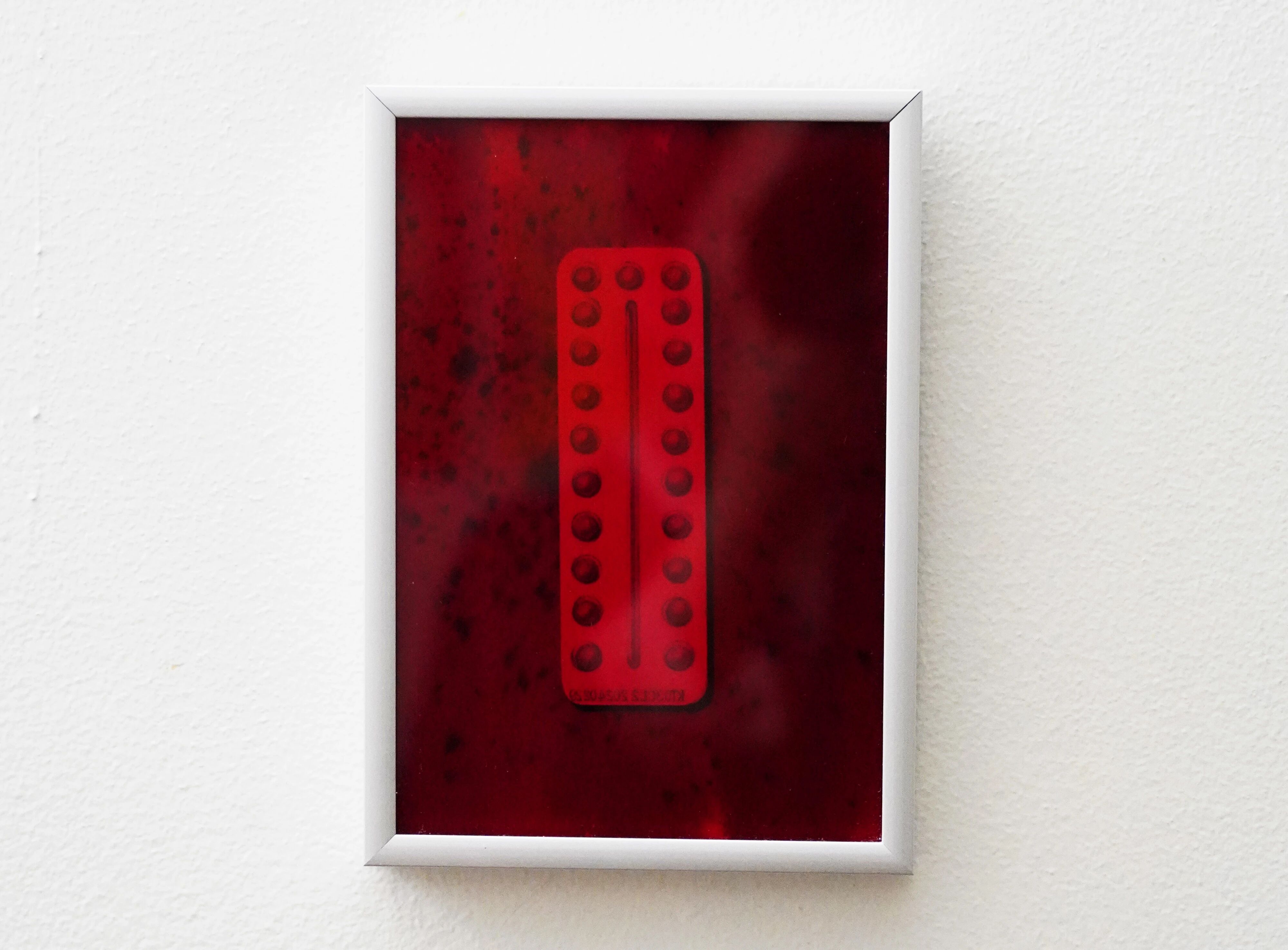 IMG_8529.JPG