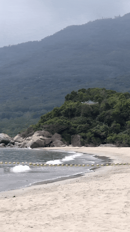 IMG_0087.GIF