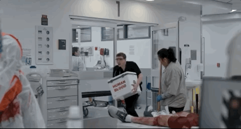 IMG_1793.GIF