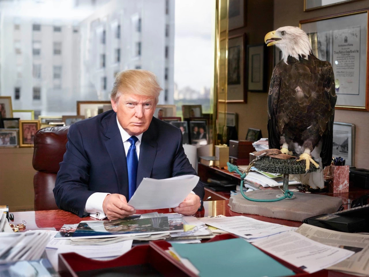 IMG_3256.JPG