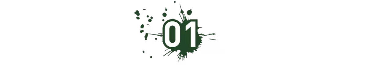 IMG_2801.PNG