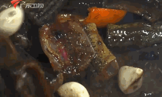 IMG_3902.GIF