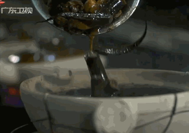 IMG_3904.GIF