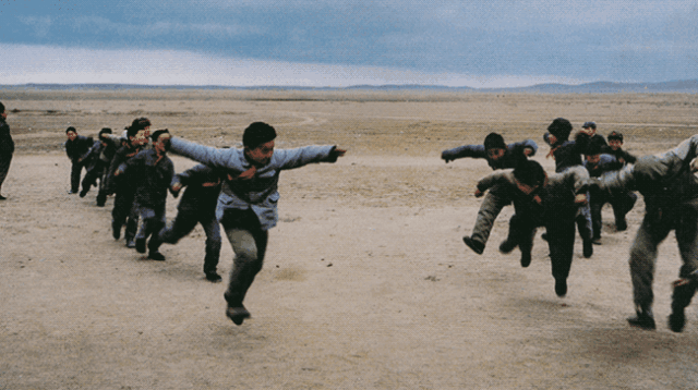 IMG_5141.GIF