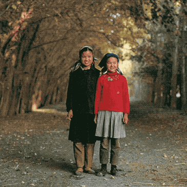 IMG_5144.GIF