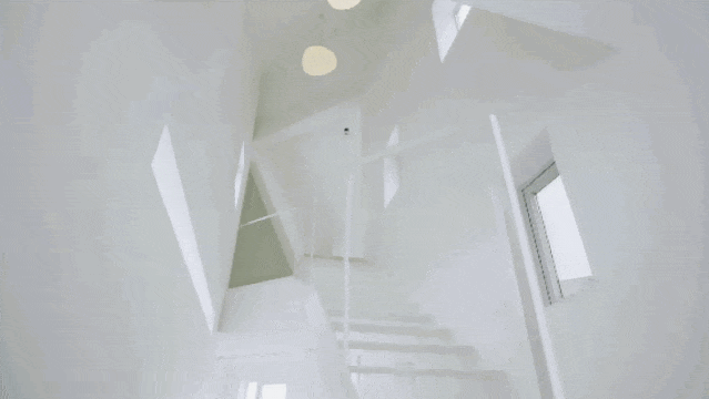 IMG_6050.GIF