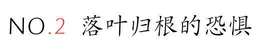 IMG_5557.PNG