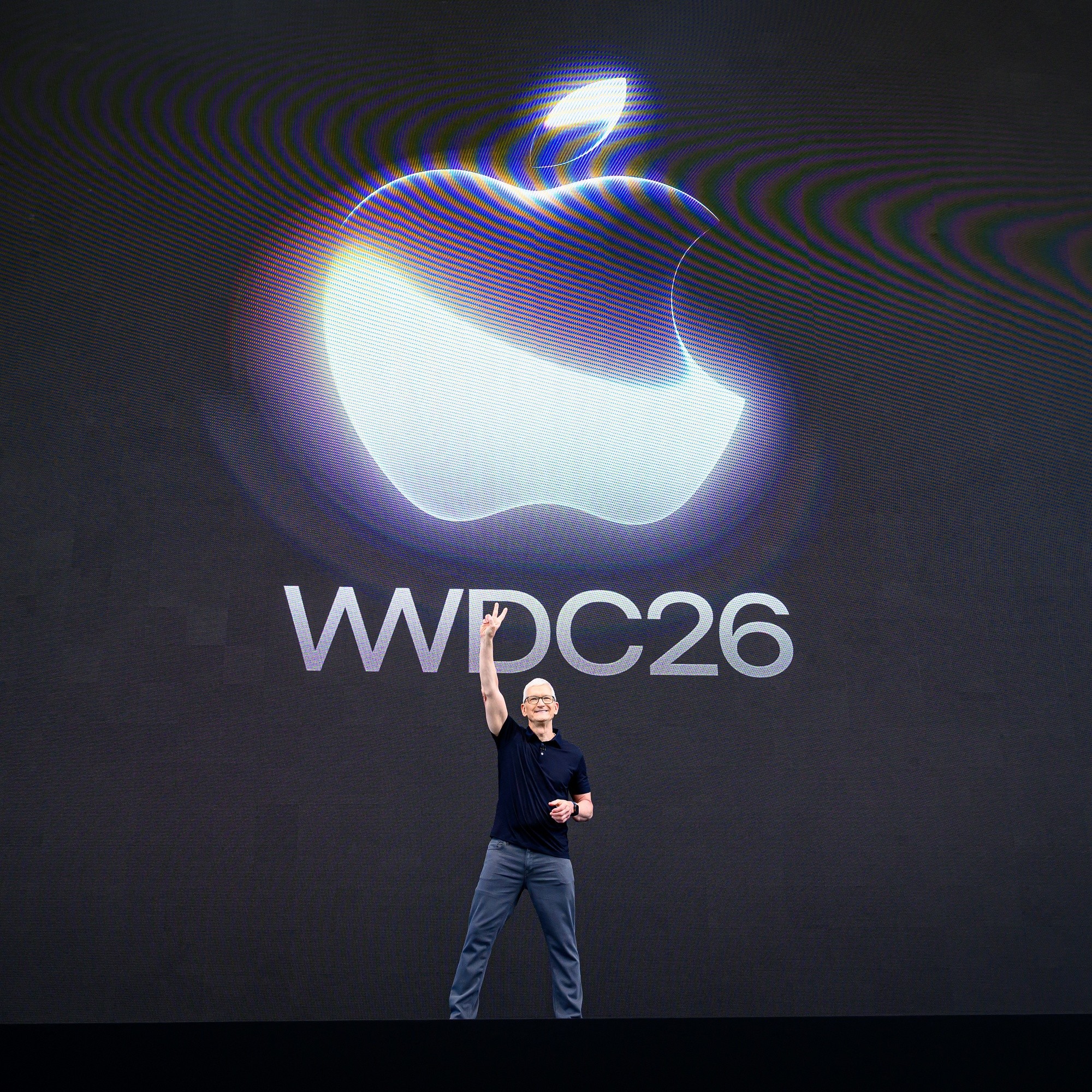 4-compressed.jpg