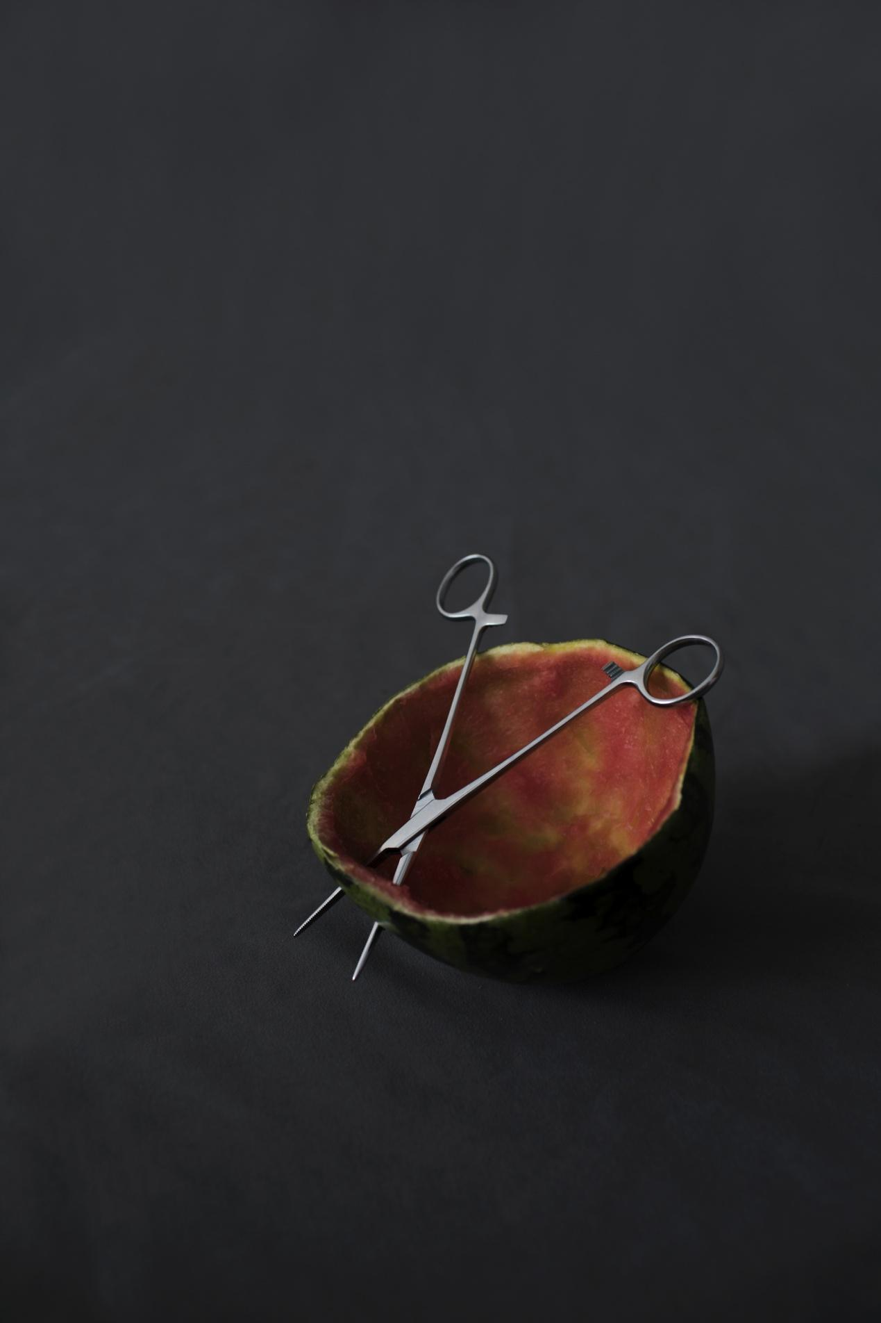 IMG_6342.PNG