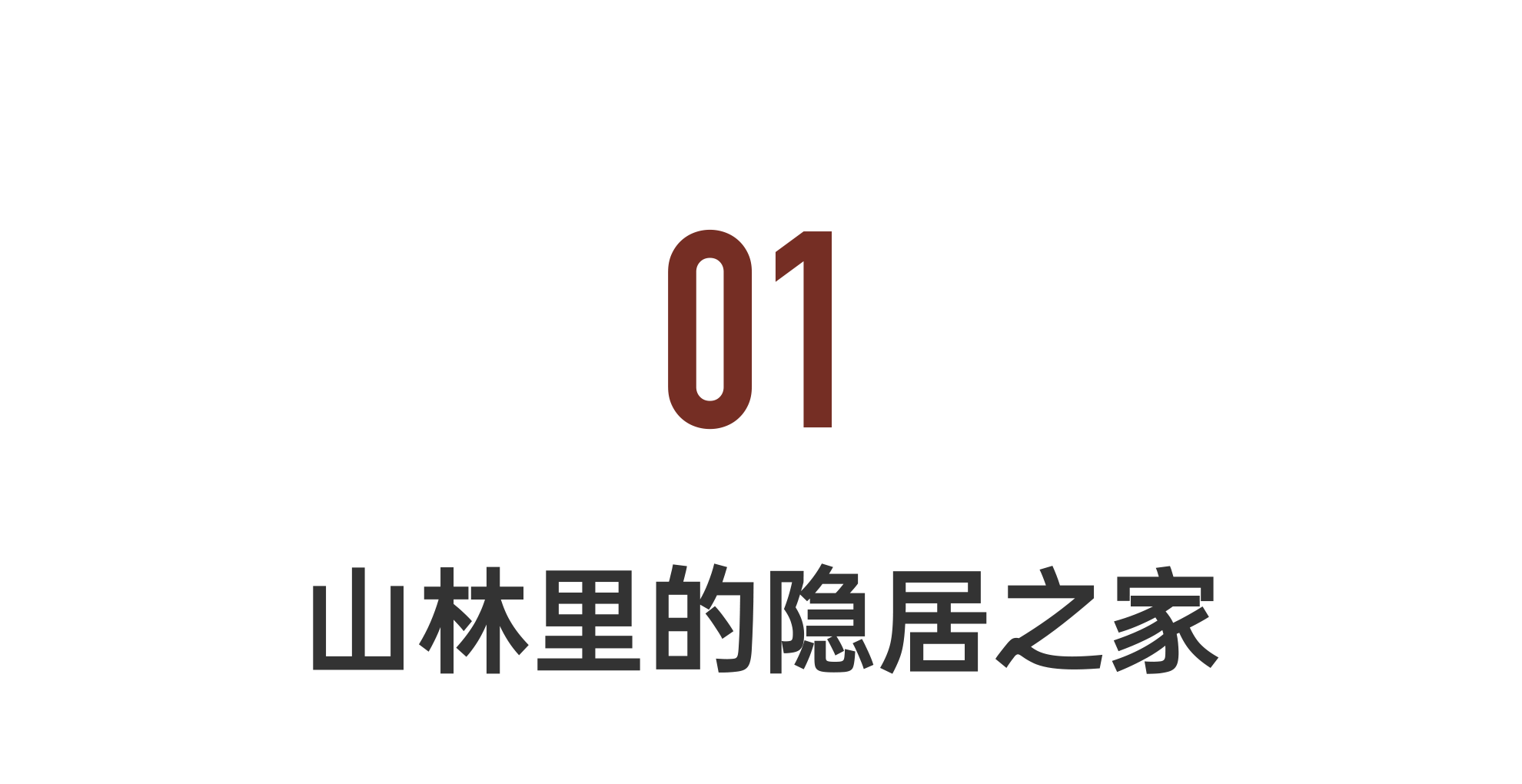 IMG_6551.PNG