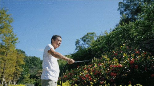 IMG_6554.GIF
