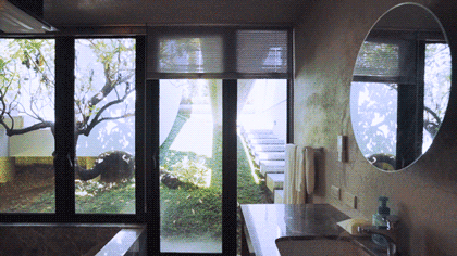 IMG_6566.GIF