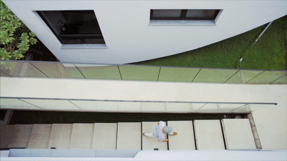 IMG_6578.GIF