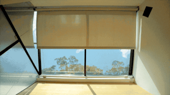 IMG_6581.GIF