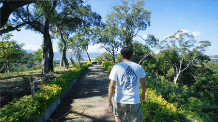 IMG_6587.GIF