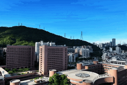 IMG_6928.GIF