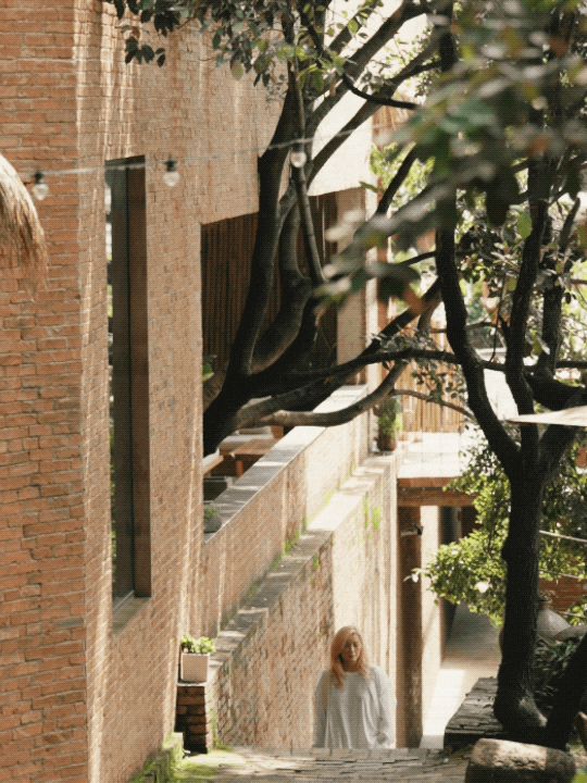 IMG_7412.GIF