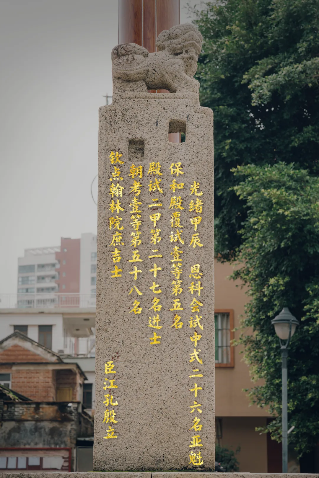 14.jpg