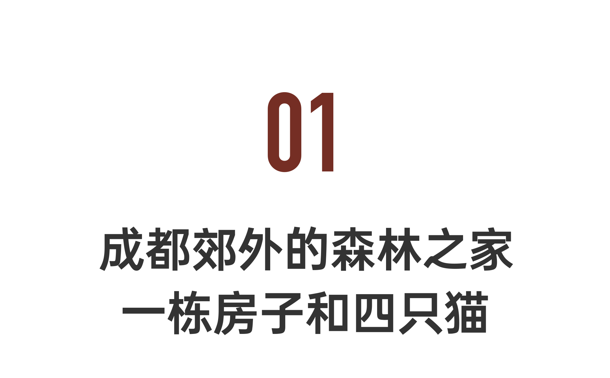 IMG_8087.PNG