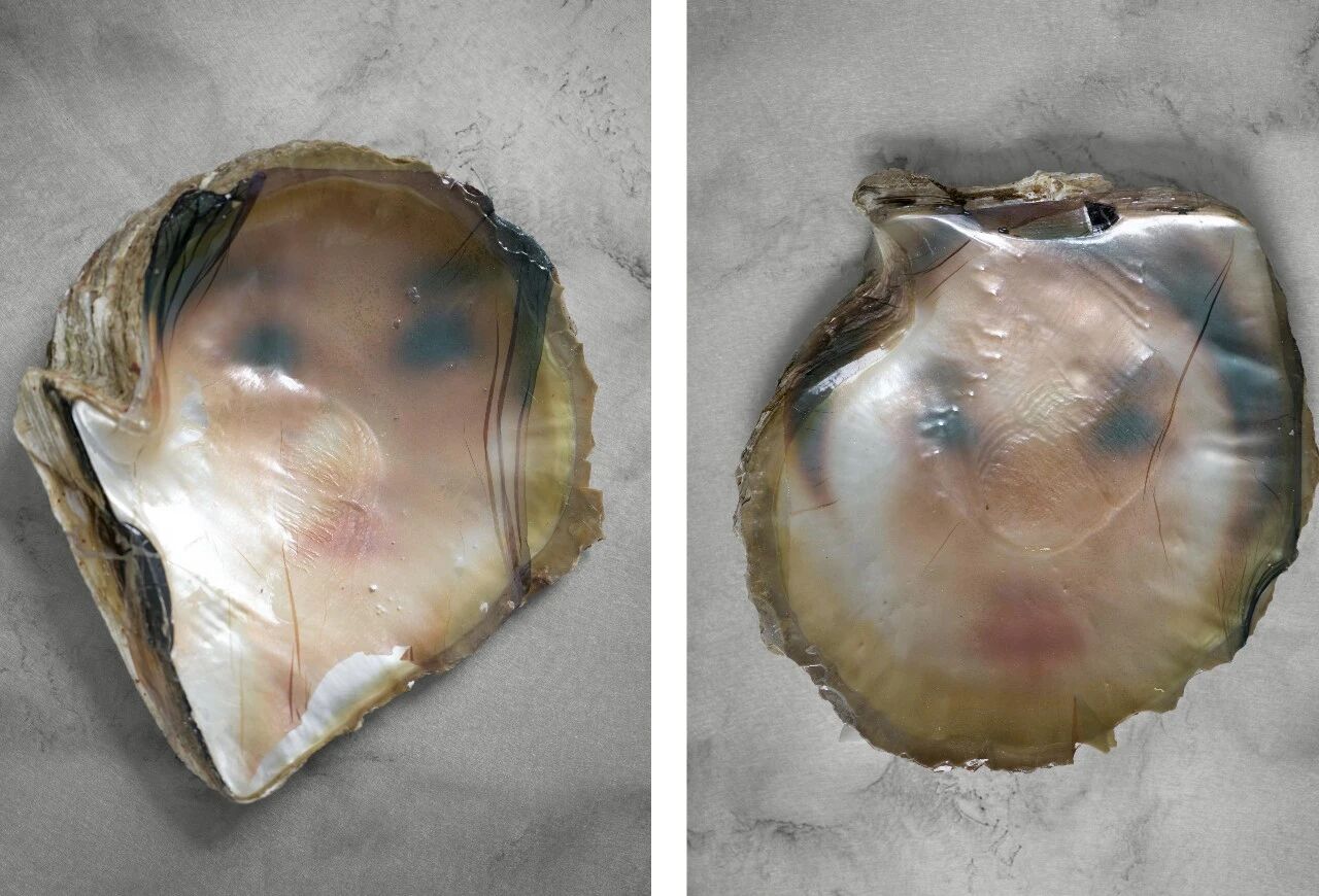 IMG_8121.JPG