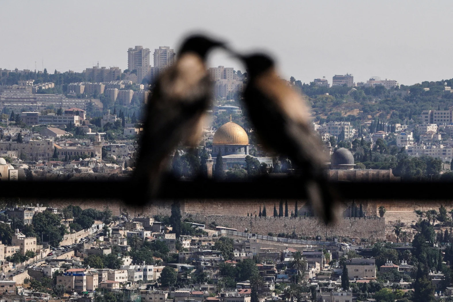34-34-2026-06-22t092559z-1899132672-rc2uylayetq9-rtrmadp-3-israel-palestinians-j.jpg