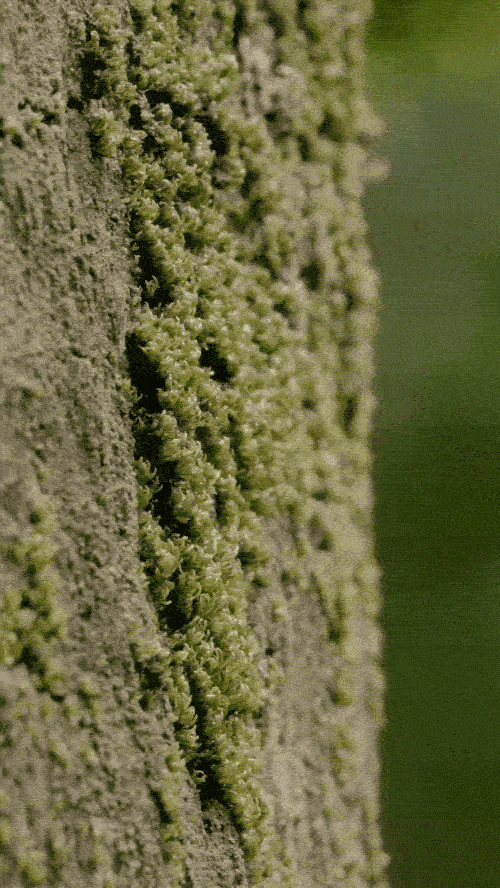 92-ezgif.com-optimize.gif