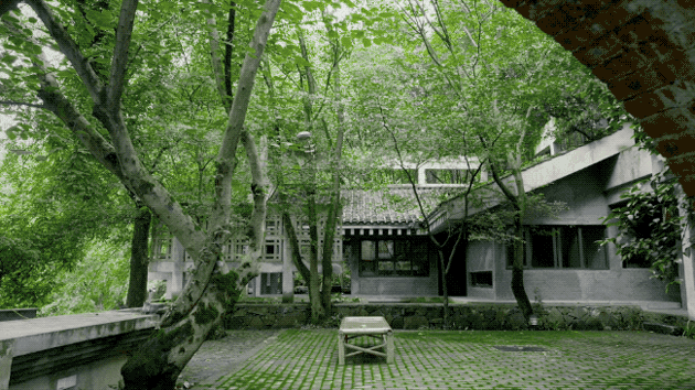 IMG_9592.GIF