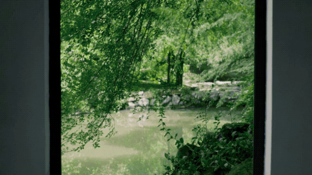 IMG_9612.GIF