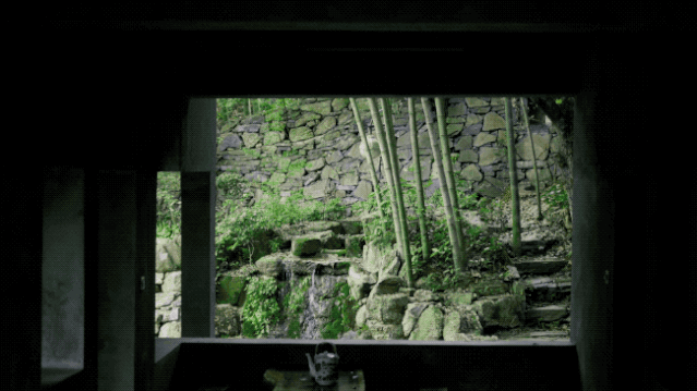 IMG_9624.GIF