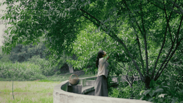 IMG_9640.GIF
