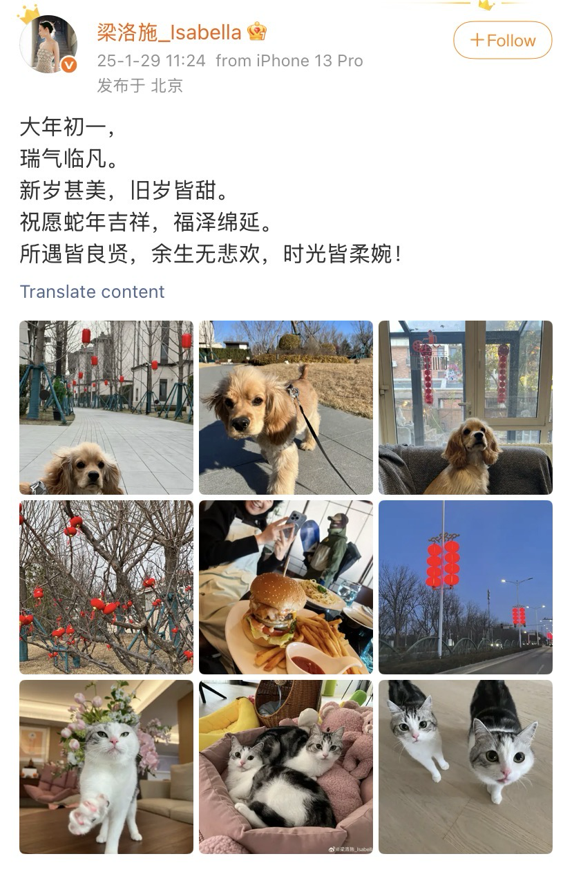 IMG_9009.PNG