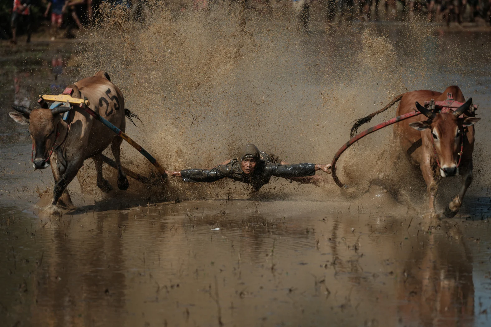 34-gettyimages-2283024051.jpg