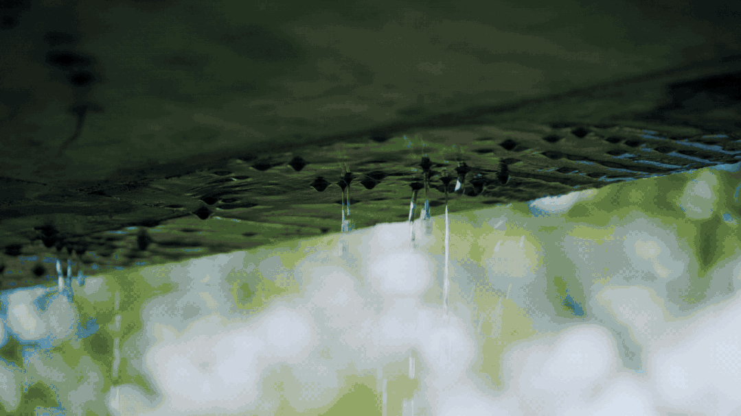 IMG_0055.GIF