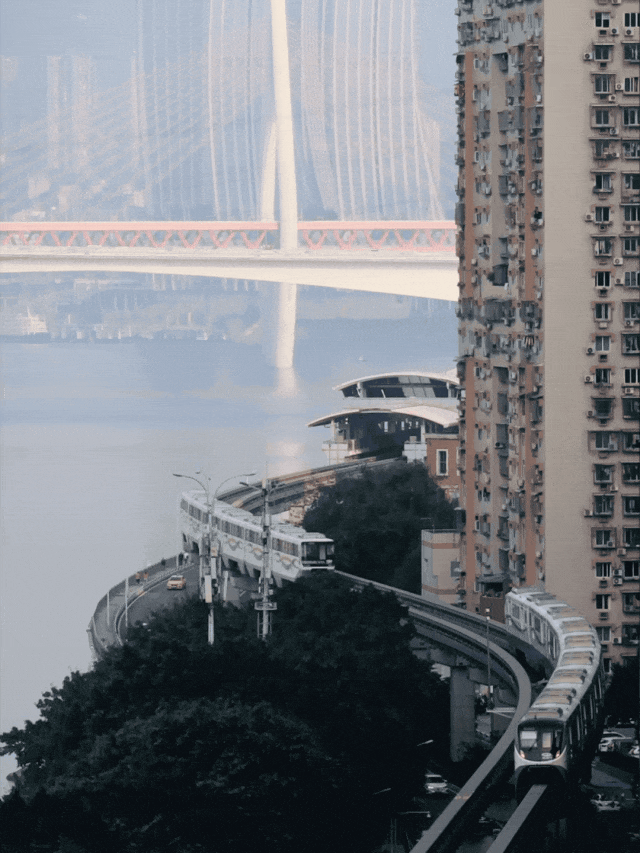 11.gif