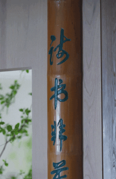 IMG_0582.GIF