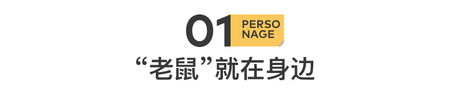 IMG_0641.PNG