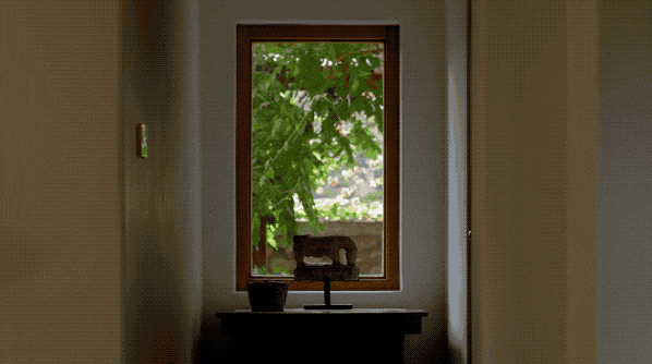 IMG_0983.GIF