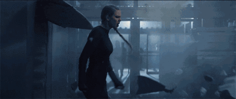 IMG_1071.GIF