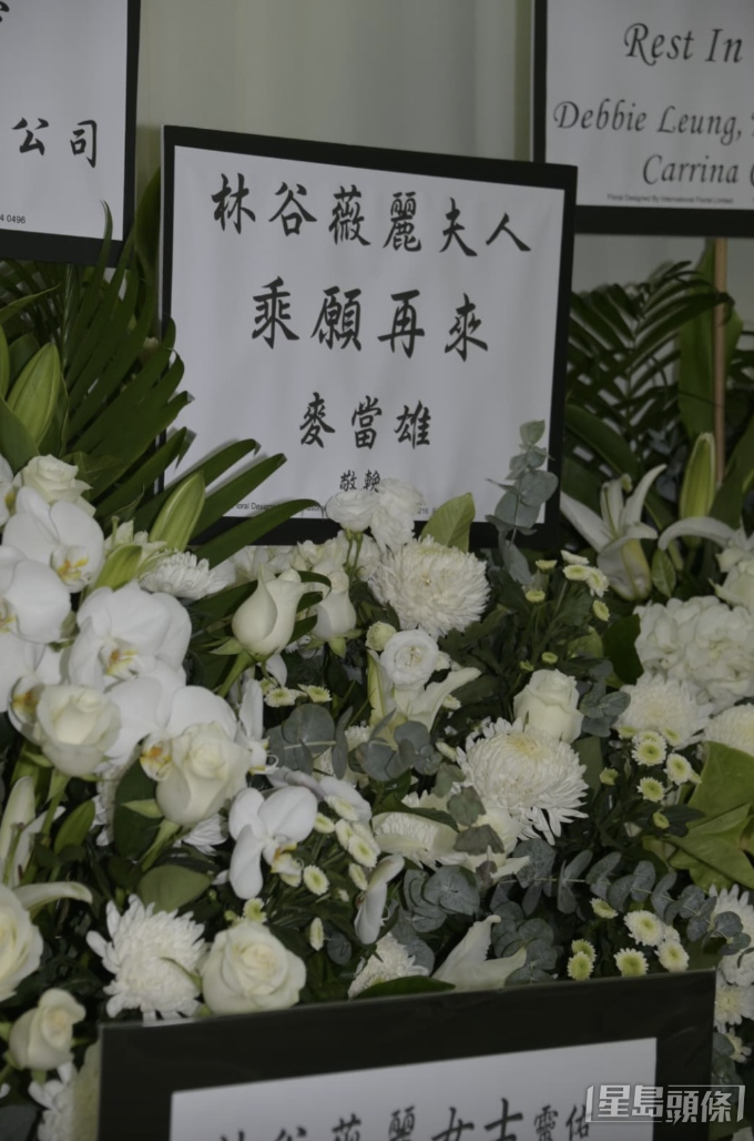 IMG_1162.PNG