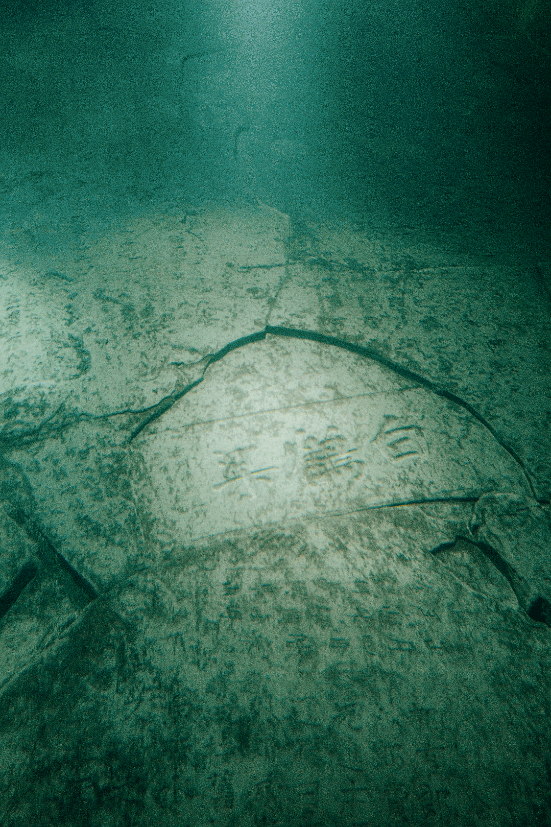 IMG_1480.GIF
