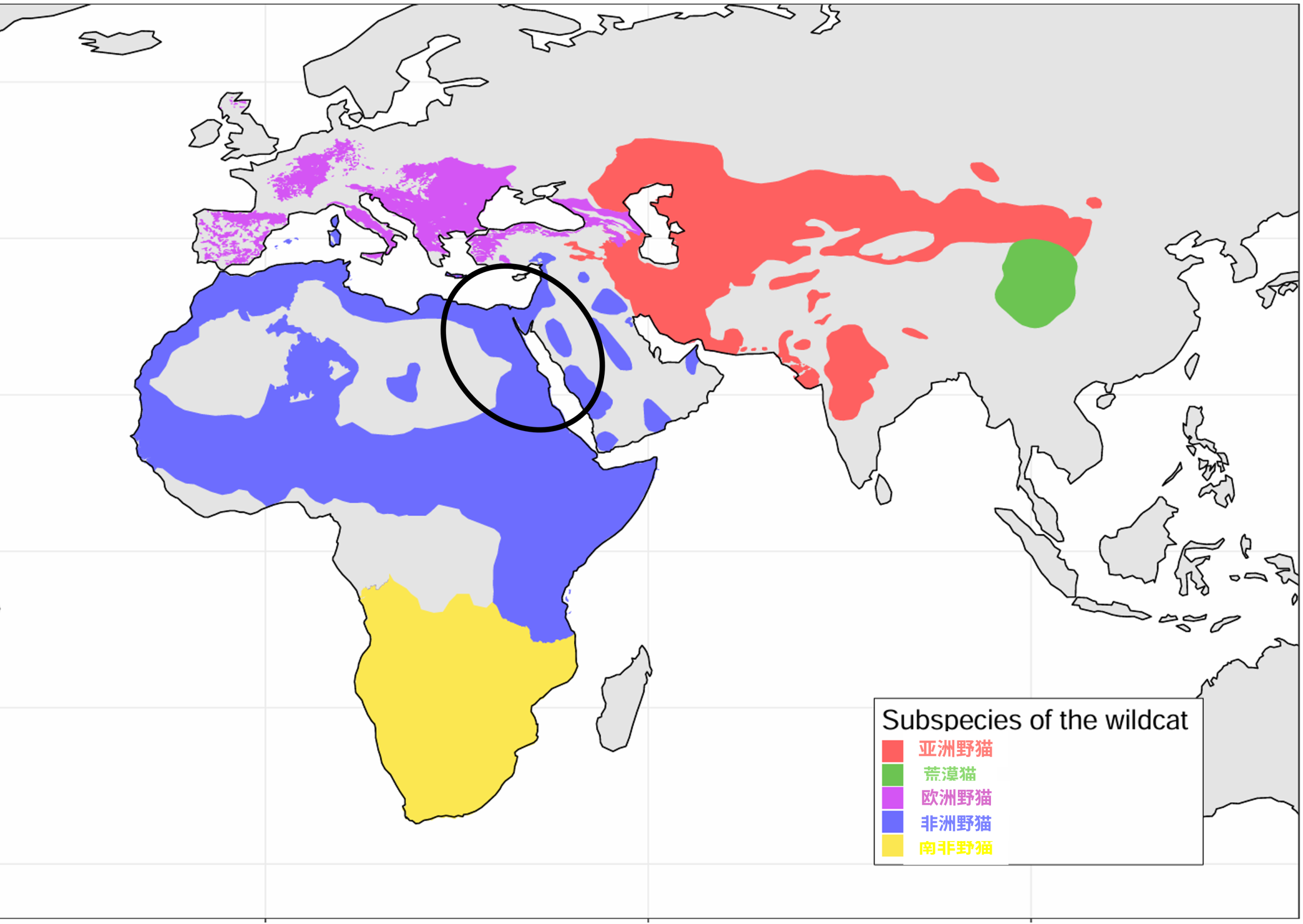 IMG_3752 2.PNG